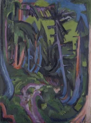 Mountain Forest Path